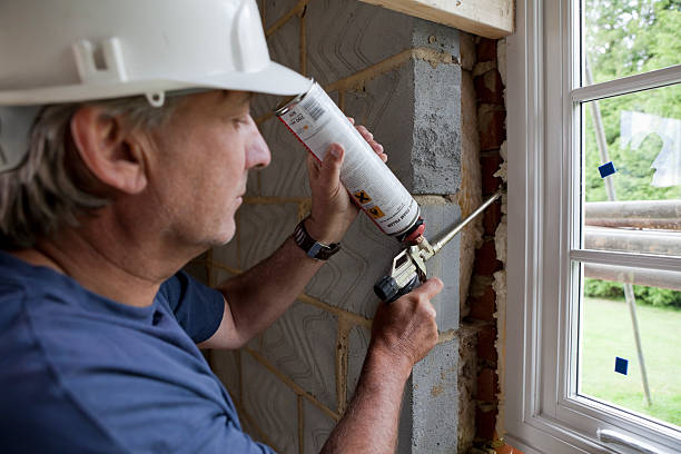 Best Insulation Air Sealing  in Edgewood, KY